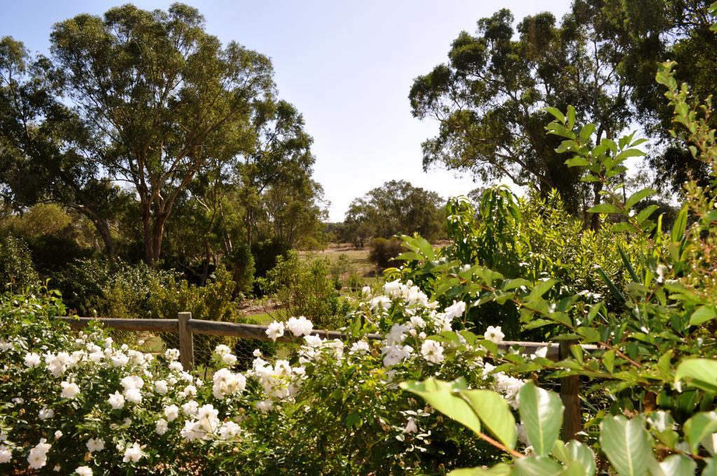 Guildford River Retreat Perth Exteriör bild